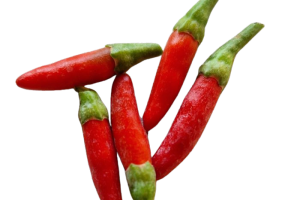 Ornamenthal Chinenses